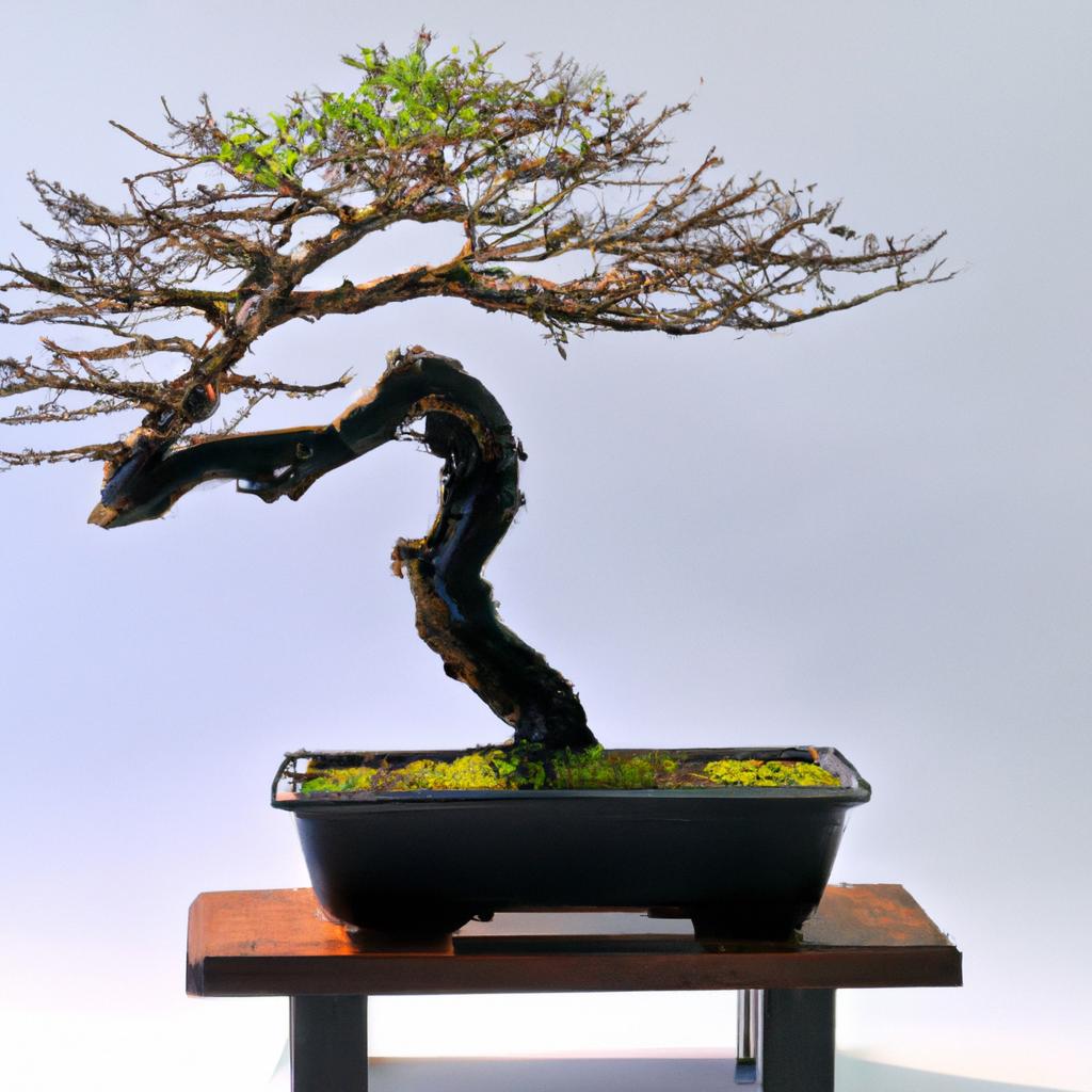 Como Cuidar de um Bonsai: Dicas Práticas para Manter a Sua Árvore em Miniatura Saudável e Bonita